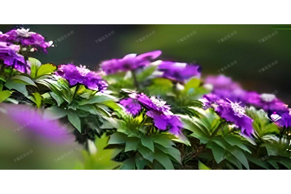 杭州按摩店推荐，身心放松好去处